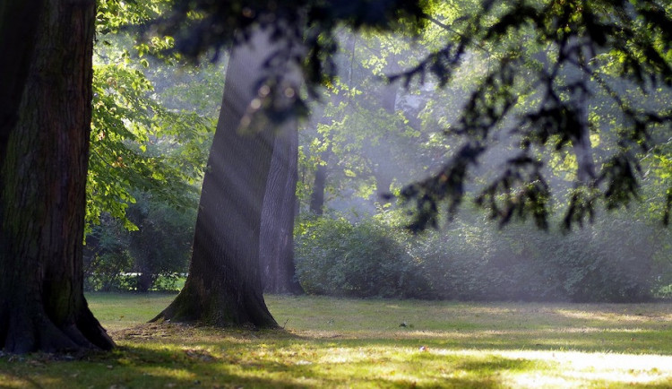 Během dne bude polojasno, postupně přibyde oblačnosti