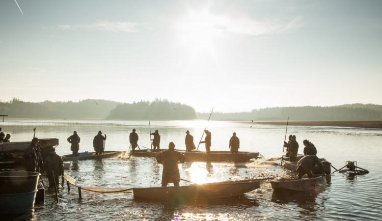 Blíží se výlov rybníka Rožmberk, řidiči musejí počítat s omezením