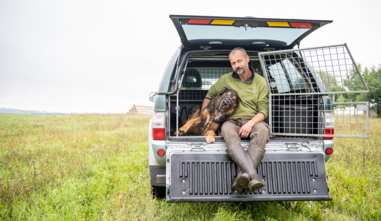 Psů je tolik, že nemají pro řadu lidí hodnotu, říká Vladimír Kössl z Animal Rescue