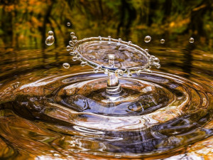 Nová pracovní skupina pomůže městu zlepšit hospodaření s vodou
