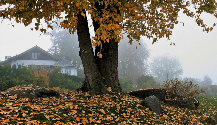 POČASÍ NA PÁTEK: Znovu můžeme očekávat mlhu, přidá se i mírné mrholení