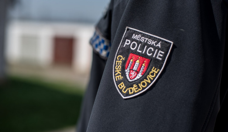 Strážníci z Lince přijedou do Budějc, řešit se bude bezpečnost v ulicích a problematika žebrání
