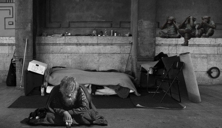 Na ulici se psem. Bezdomovci s hafanem moc šancí na ubytování nemají