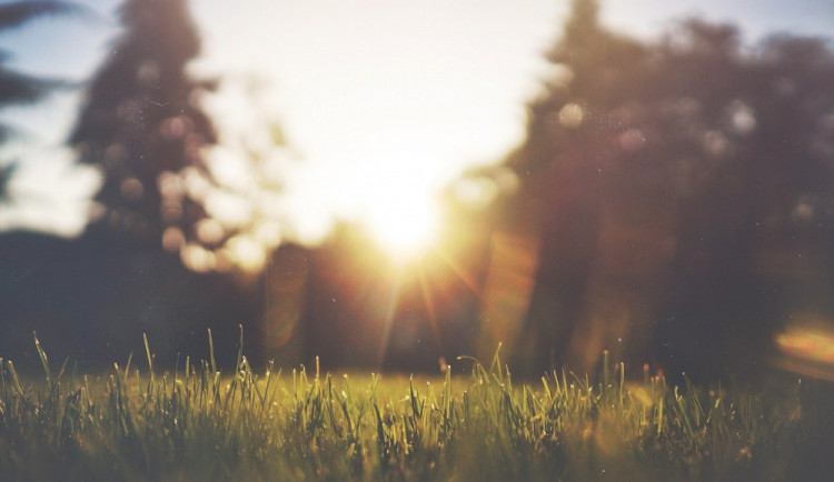 Obrázek je ilustrační.