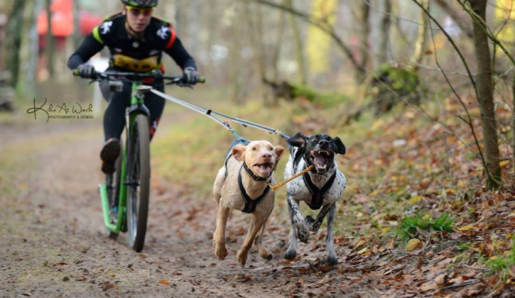 Český musherský pár na Mistrovství Evropy zabodoval! Domů vezou dvě medaile