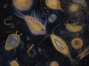 Ukázka - Kristýna Kregorová