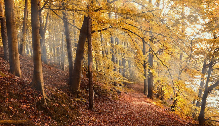 Teploty nepřesáhnou deset stupňů, během dne bude jasno až polojasno