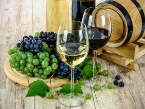 Mladé víno není jen svatomartinské, na Moravě jej už ochutnávají