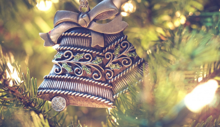 Na Staromáku bude letos stát opět vánoční strom z Libereckého kraje. Vyrostl v Semilech