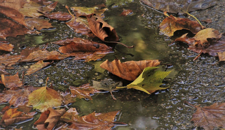 pool-4548967_960_720