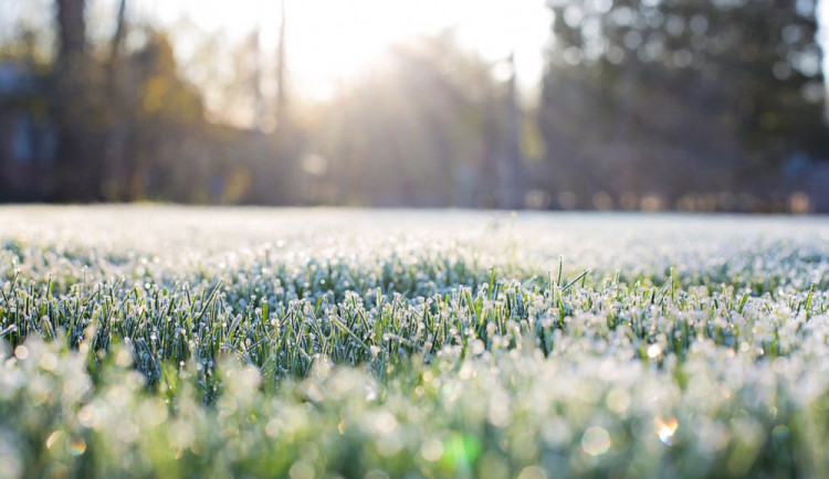 frost-on-grass-1358928_1280