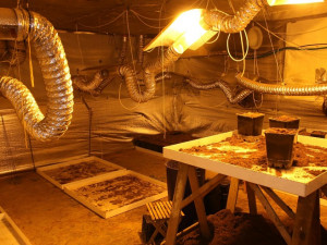 pěstírna vybavení