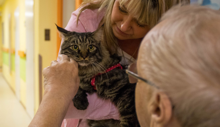 Liberecká nemocnice má své superhrdiny. Chlupáči Elwis i James Bond přitahují lidi jako magnet a každému vykouzlí úsměv na tváři