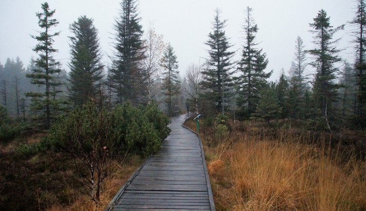 gods-gift-4590648_1280