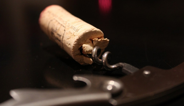 Sedmnáctý listopad oslavil každý po svém. Ženu pod vlivem museli strážníci sbírat ze země