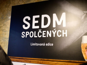 sedm spolčených13