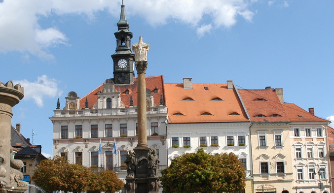 Česká Lípa podporuje mladé hudebníky i úspěšného kynologa