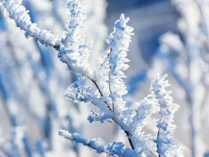 Vánoce na sněhu? Není to nemožné, podle meteorologů má být chladno