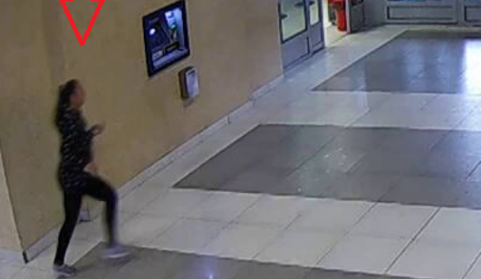 Policie hledá ženu, která by mohla objasnit krádež stovek jízdenek z libereckého nádraží