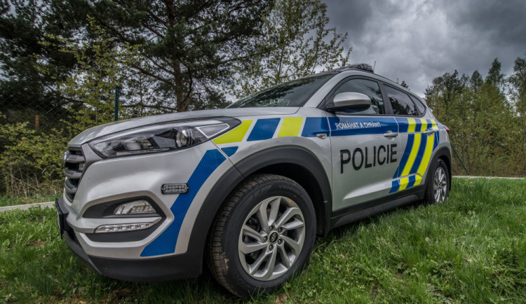 Řidič osobáku utekl před policisty do lesa, byl opilý