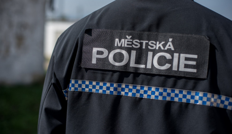 Asistenti prevence museli řešit opilého muže v kolejišti i partnerskou hádku