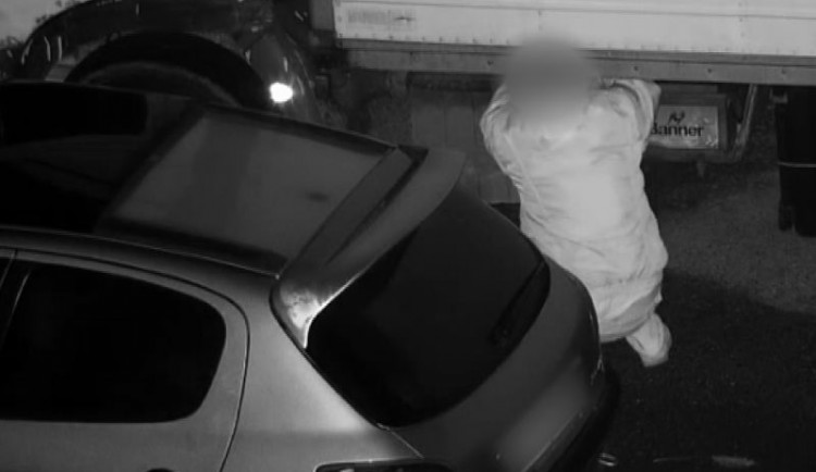 csm_miniatura_01_2dd76b0416