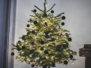SOUTĚŽ: Vánoce jsou tady. Ukaž stromek a vyhraj ceny od Drbny