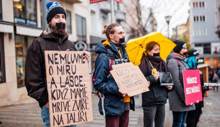 FOTO: Tichá ulička za kapry. Desítky lidí v Brně protestovaly tichou pietou proti násilí o Vánocích