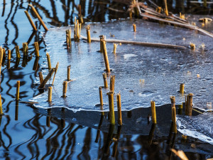 Vodní plochy na jižní Moravě začínají zamrzat. Led je pro vstup ještě tenký, varuje Povodí Moravy