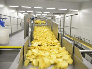 Strážnická výrobní linka