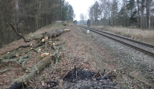 Společnost pokácela stromy podél trati bez povolení. Dostala pokutu 180 tisíc