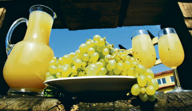 Testované burčáky dopadly hůř než v minulosti. Byly přislazené nebo obsahovaly moc alkoholu