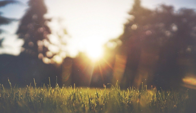 Obrázek je ilustrační.