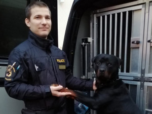 Mladík se kvůli osobním problémům pokusil o sebevraždu, život mu zachránil policejní nováček se svým psem