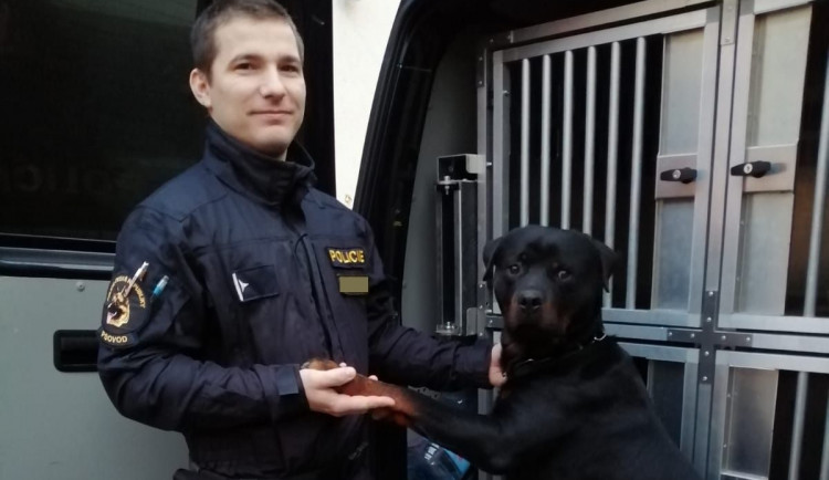 Policejní hrdinové