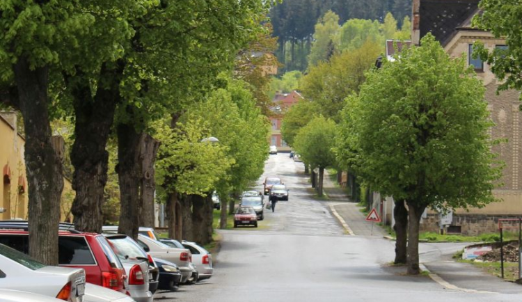 Ulice V Aleji přijde o všechny stromy. Lípy nahradí javory a muchovníky