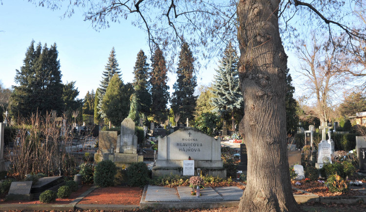 Obrázek je ilustrační.