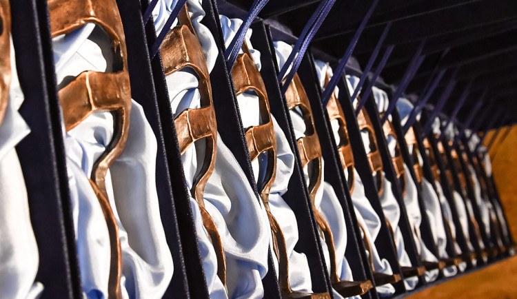 15761418217132-60-cena-mesta-brna-2