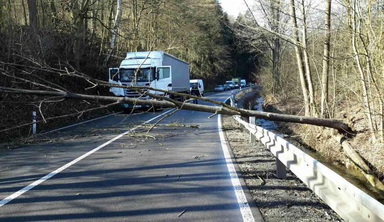 Spadlý strom komplikuje dopravu