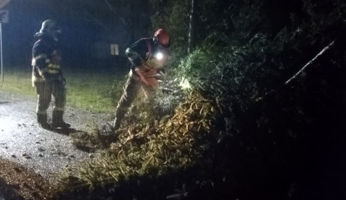 FOTO: V souvislosti s větrem vyjížděli hasiči téměř ke 200 událostem