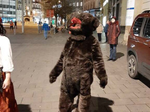 Fašank roztančil Brno