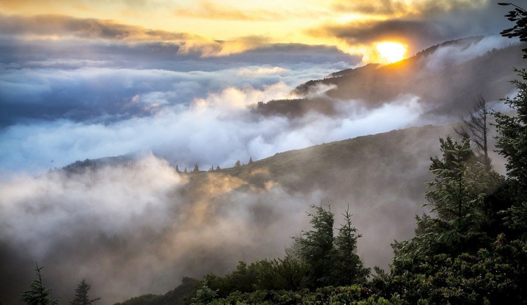 Ilustrační obrázek