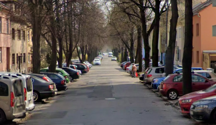Brno chce zachovat lipovou alej na Vodově ulici, přizpůsobí jí rekonstrukci potrubí a silnice