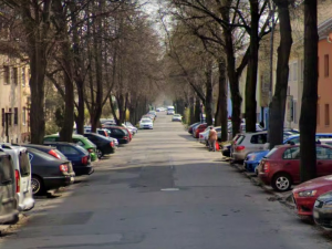 Brno chce zachovat lipovou alej na Vodově ulici, přizpůsobí jí rekonstrukci potrubí a silnice