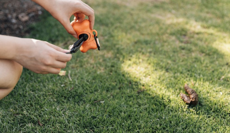 Spor kvůli psímu exkrementu skončil fackou a nadávkami