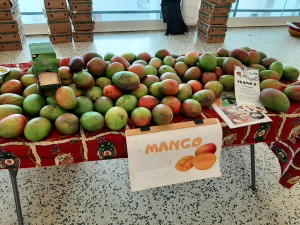 20200307_134659.resized