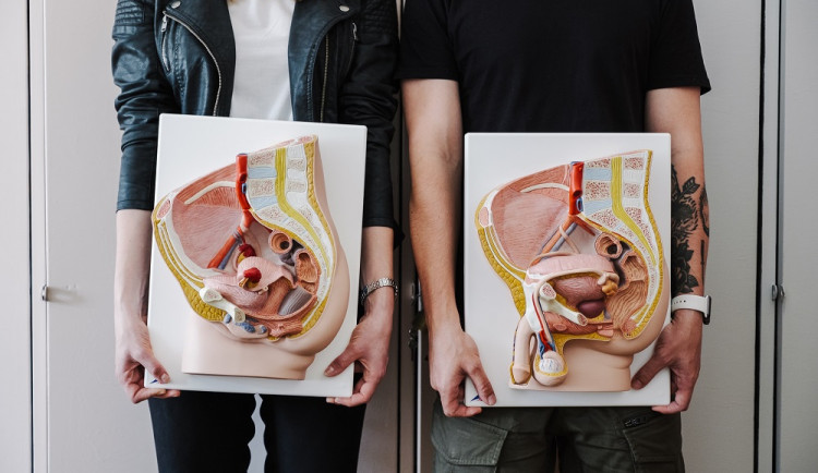 Workshop Dole dobrý v Brně organizace Loono