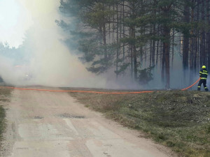 Odpoledne hořel les kolem železniční trati, požár hasilo sedmnáct hasičských jednotek