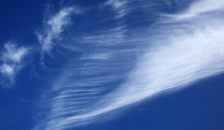 ilustrační obrázek