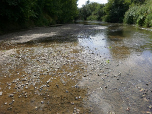 Řeky na jižní Moravě mají kriticky málo vody, někde jsou na pouhé desetině běžného stavu